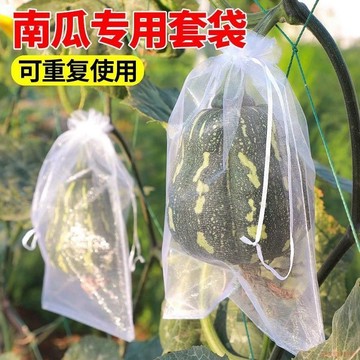 桃園速寄🌈通用課重復使用防蟲防鳥密眼套袋無花果桃子梨草莓西紅柿南瓜葡萄水果套袋保護袋 雙邊抽繩 防蟲網袋 瓜果防護袋