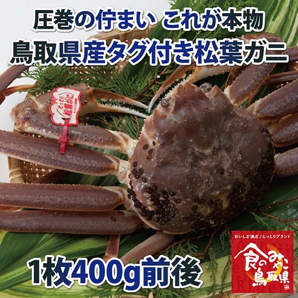 タグ付き松葉ガニ(活)小サイズ1枚400g前後