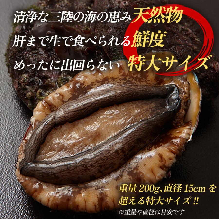 三陸産 天然 活あわび 特大サイズ（1kg 約4個入り） 冷蔵 えぞあわび 生食用 刺身