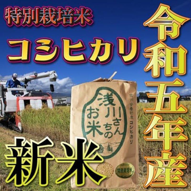 精米したて長野県 信州安曇野産 白米 浅川さんちのお米 特別栽培米 コシヒカリ 5kg 令和5年産