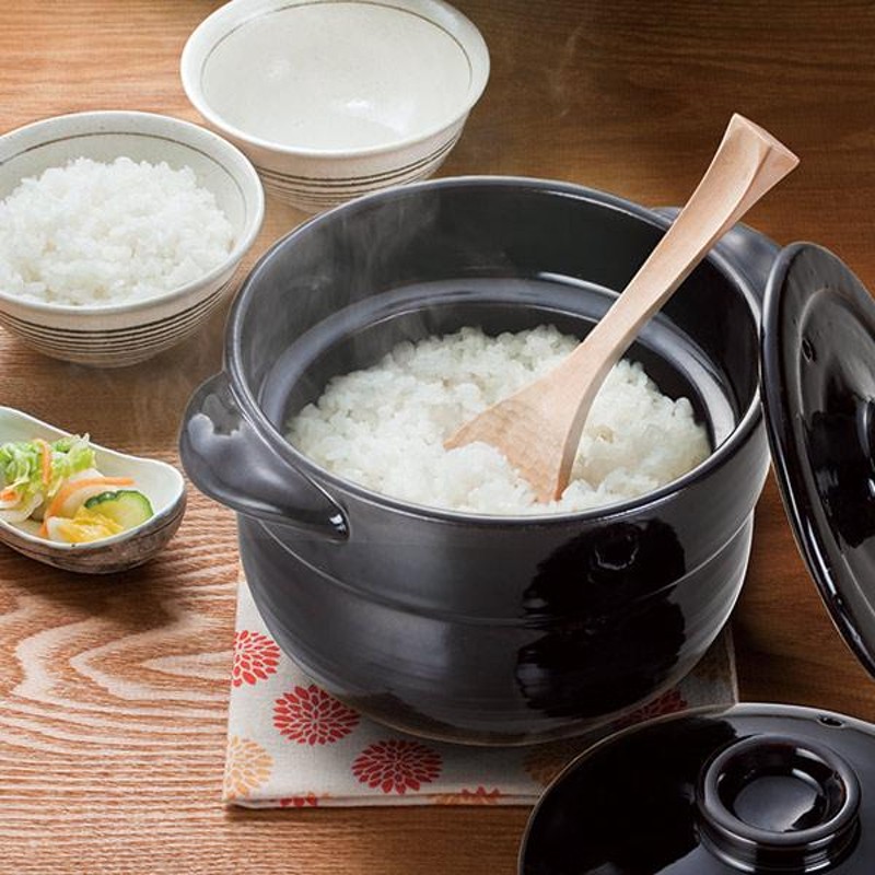 土鍋 炊飯 1合 炊飯土鍋 電子レンジ ガス火対応 極み炊飯土鍋 （ ご飯