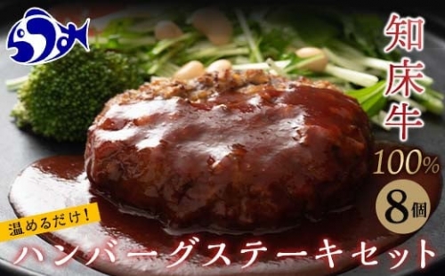 知床牛100%ハンバーグステーキセット 8個入り 北海道 道産牛 牛肉 冷凍 簡単調理 ボイル F21M-944