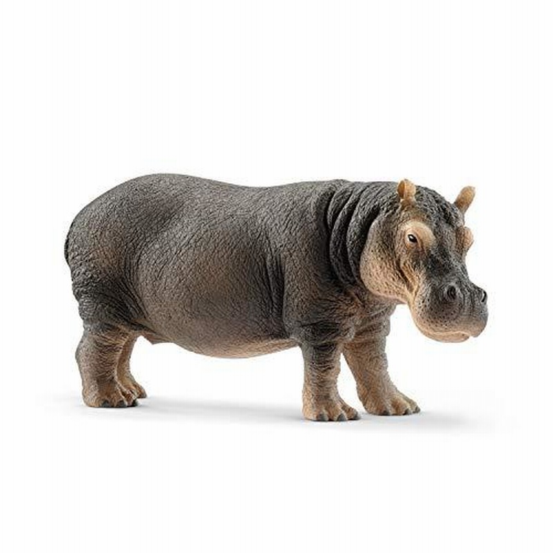 Amazon.co.jp: シュライヒ(Schleich) ワイルドライフ キリン
