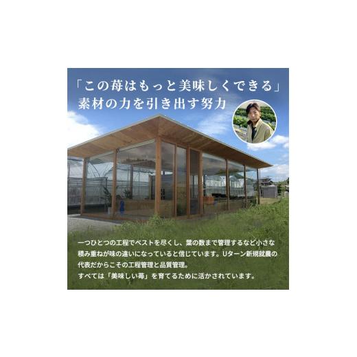 ふるさと納税 香川県 東かがわ市 [No.4631-1830]空浮いちご 4パック「北海道・沖縄・離島へのお届け不可」