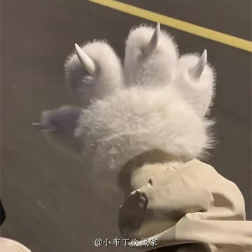 💯桃園出貨💯二次元貓爪手套 加厚加絨保暖 學生冬季漫展必備 可愛卡通INS風 露指觸屏設計 防靜電 台灣超商到府