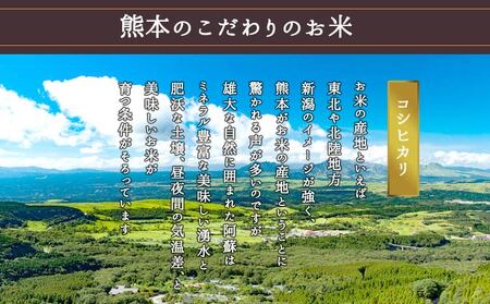 令和5年産 阿蘇のお米 コシヒカリ10kg 1袋 白米