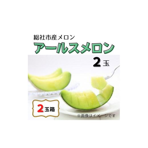 ふるさと納税 岡山県 総社市 「アールスメロン（2玉）」岡山県総社市産24-018-003