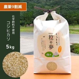 ふるさと納税 農薬9割減・化学肥料不使用 コシヒカリ(玄米) 5kg 山口県美祢市