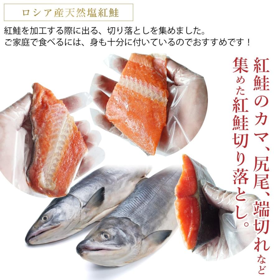 天然 紅鮭 切り落とし 1.5キロ(300g×5袋) 甘塩 ロシア産 天然物 紅しゃけ 紅鮭のカマ 尻尾 端切れ 大容量