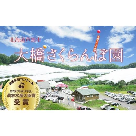 ふるさと納税 北海道 芦別市 冷凍さくらんぼ赤ミックス（５００ｇ×４パック）