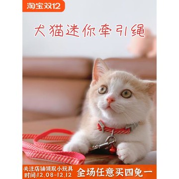 狗狗幼貓咪幼犬牽引繩套脖鈴鐺牽引繩小型玩具茶杯犬迷你遛狗貓繩