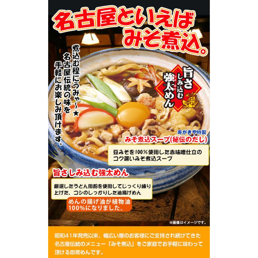 スガキヤ　お試しパック　名古屋名物 みそ煮込うどん×2袋　10食入