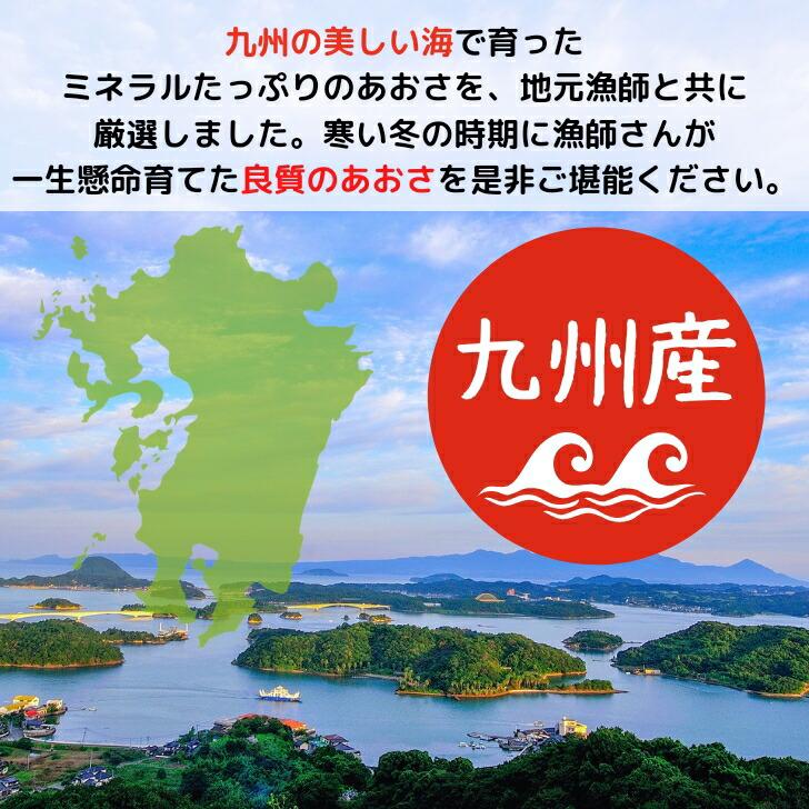 お買い得 あおさ 90g 九州産  あおさのり  ヒトエグサ 送料無料 国産 お徳用 チャック付 袋入 海苔