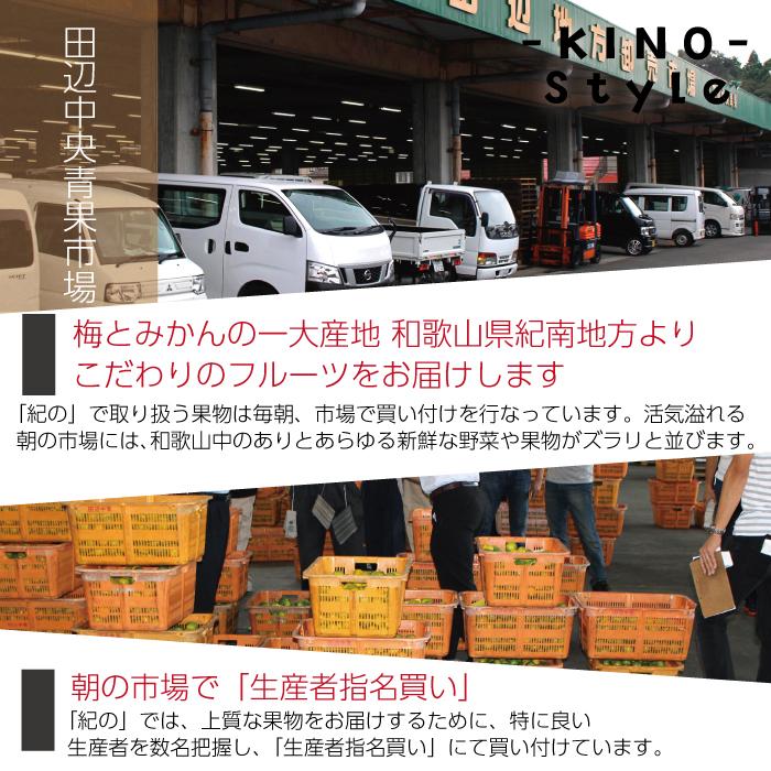 温州みかん 送料無料  多少キズあり ご家庭用 みかん 温州 紀南 ミカン 中玉 M 和歌山 フルーツ 果物 糖度 甘い 濃厚 家庭用 訳あり 紀の