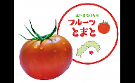 ＜アルテトマト 約1.6kg（20-35玉）×1箱 ＞ フルーツトマト 高知県 佐川町 トマトハウスナカムラ 野菜 贈答用 リピーター多数 高糖度 ギフト （1月初め頃から5月下旬頃まで発送） 栽培期間中化学農薬不使用