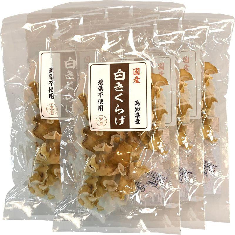 国産100% 白きくらげ 23g×6袋セット 巣鴨のお茶屋さん山年園