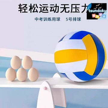 【中考專用】排球 5號排球 比賽排球 訓練排球 軟式排球 硬式排球 標準比賽用球 耐磨PU材質 中小學生體育考試 成人兒童通用