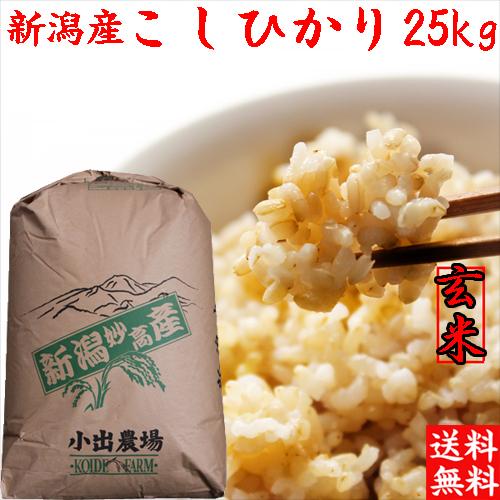 新米 玄米 令和5年 新潟産 コシヒカリ 玄米 25kg 送料無料 新潟県産 コシヒカリ 25キロ 玄米 農家直送 お得用米  新潟県産こしひかり玄米 25キロ