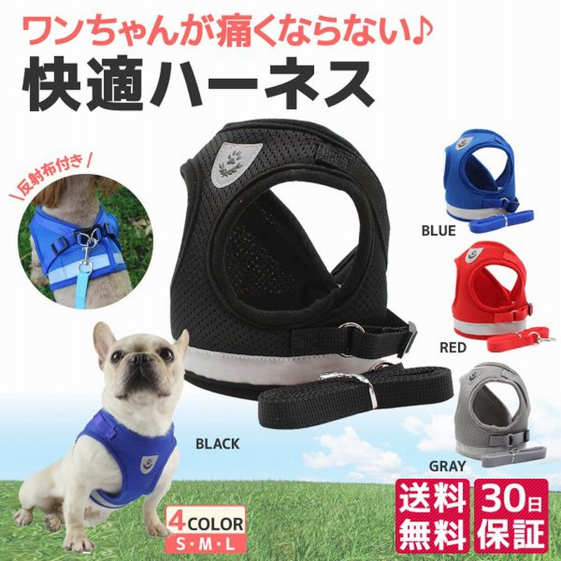 犬用品 おしゃれ Hurtta フルッタ 犬用ハーネス 35〜40cm・ 犬用リード 120cm AGqrWCdM1H - humanature.ie 犬用品 おしゃれ Hurtta フルッタ 犬用ハーネス 35〜40cm・ 犬用リード 120cm AGqrWCdM1H - humanature.ie