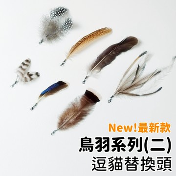 【喵星】逗貓替換頭｜鳥羽系列二 極輕! 逗貓 羽毛 雞毛 鳥羽 逗貓棒 貓咪玩具 喵星實驗室