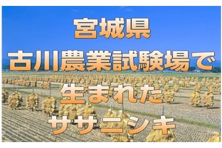 宮城県栗原産 ササニシキ 毎月5kg (5kg×1袋)×6ヶ月