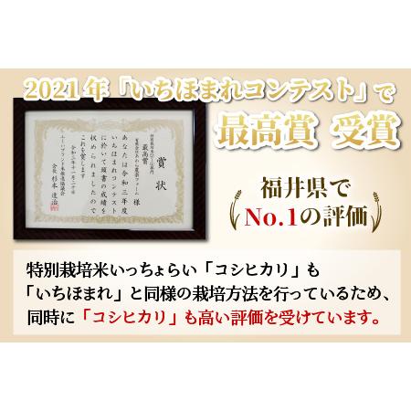 ふるさと納税 《定期便12回》特別栽培米 いっちょらい 無洗米 5kg（計60kg）／ 福井県産 ブランド米 コシヒカリ ご飯 白米 新鮮 .. 福井県あわら市