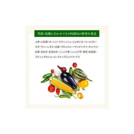 ふるさと納税 野菜セット（7‐9種類）栽培期間中農薬不使用！ 季節の野菜 旬 無農薬 野菜 やさい 新鮮 自然 健康 セット 詰め合わせ 冷蔵 美味し.. 高知県芸西村