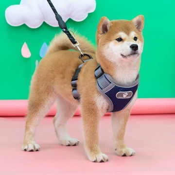 【限時免運】胸背帶牽引繩 背心式背帶 防爆沖中型犬牽引繩 寵物用品 柴犬項圈小型犬