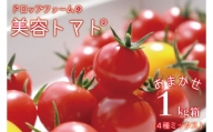 CK-7　ドロップファームの美容トマトおまかせ1kg箱(４種ミックス)