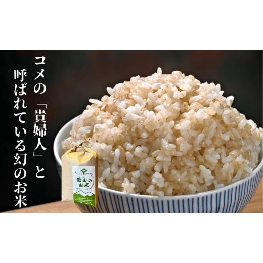 ふるさと納税 秋田県 にかほ市 ササニシキの親　農薬不使用のササシグレ「郷山のお米」4kg（2kg×2袋）（玄米）