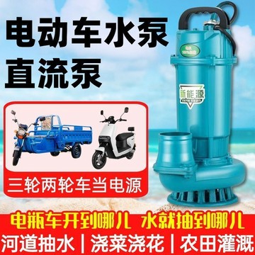 直流潛水泵💧可開統編  電瓶車無刷直流潛水泵三輪車48V60V72V國標抽水泵純銅線圈直流泵