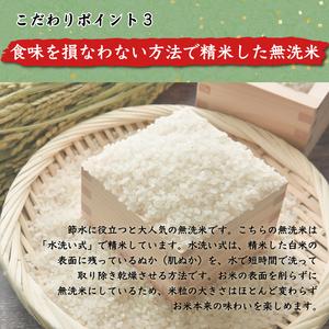 ふるさと納税 福岡県産 元気つくし 無洗米 5kg(5kg×1) [a0196] 株式会社 藤食糧 添田町 ふるさと納税 福岡県添田町