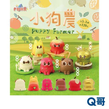 Partner Toys 小狗農 蘋狗 奇異狗 金蘋狗 芒狗 椰狗 火龍狗 隨機 PVC 公仔 模型 扭蛋 盒玩 盲盒