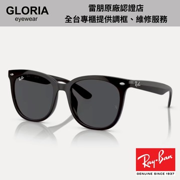 Ray Ban｜RB4379D-60187 膠框太陽眼鏡【葛洛麗雅眼鏡】