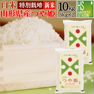  白米 特別栽培米 山形県産つや姫10kg(5kg×2) 令和5年産 