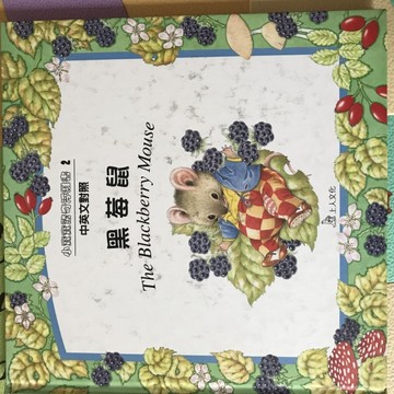 黑莓鼠[二手書_普通]