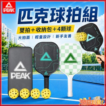 台灣隔日達 Pickleball匹克球拍套組-買1送1 匹克球拍 匹克球拍板套裝全套 賽事級匹克球拍 皮克球比賽等級