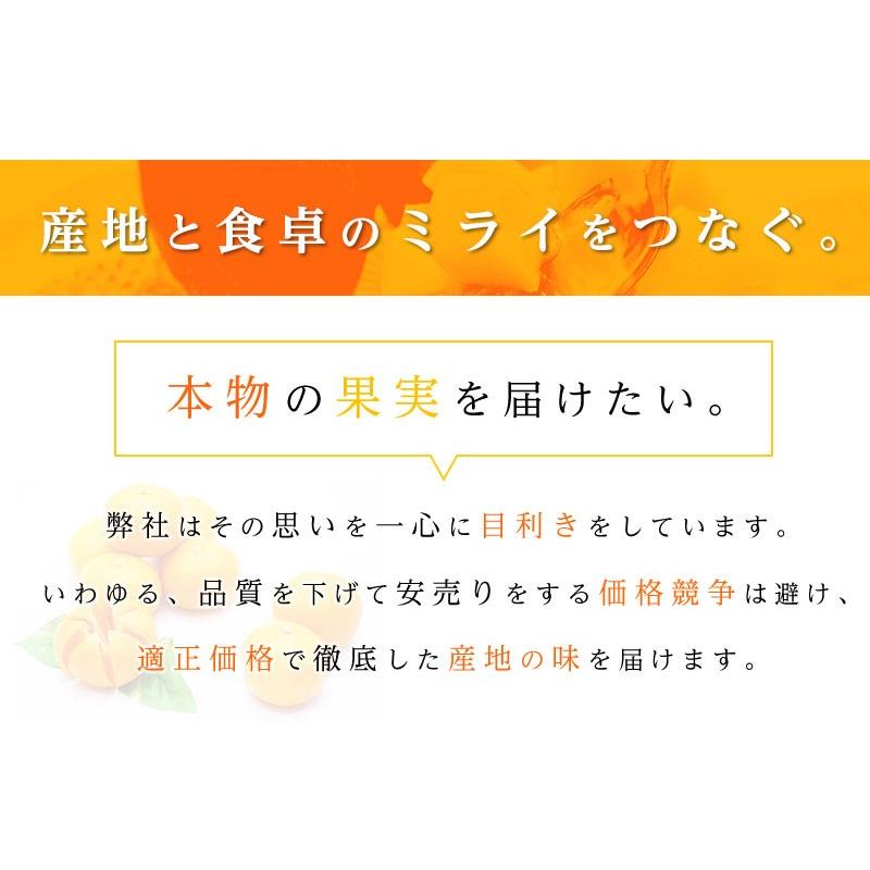 高知県産 夜須 すいか ルナピエナ 　約2kg スイカ ギフト 贈答 プレゼント 内祝い