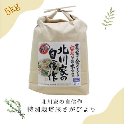 ふるさと納税 小城市 佐賀ブランド米　さがびより白米5kg〔特別栽培米〕全12回