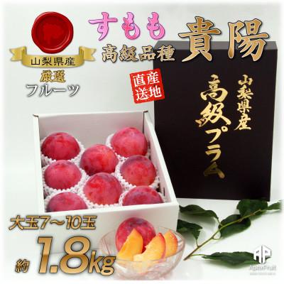 ふるさと納税 山梨市 すもも『大玉貴陽』約1.8kg(7〜10玉)