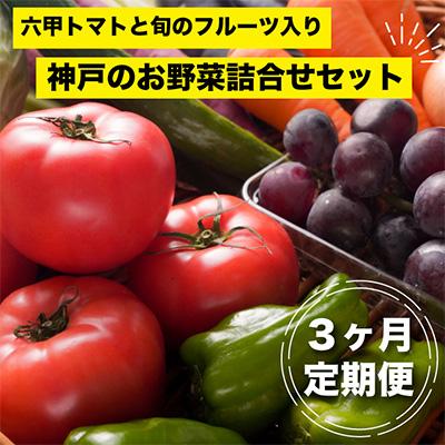 ふるさと納税 神戸市 神戸のお野菜詰め合わせセット(六甲トマトと季節のフルーツ入)3ヶ月定期便全3回