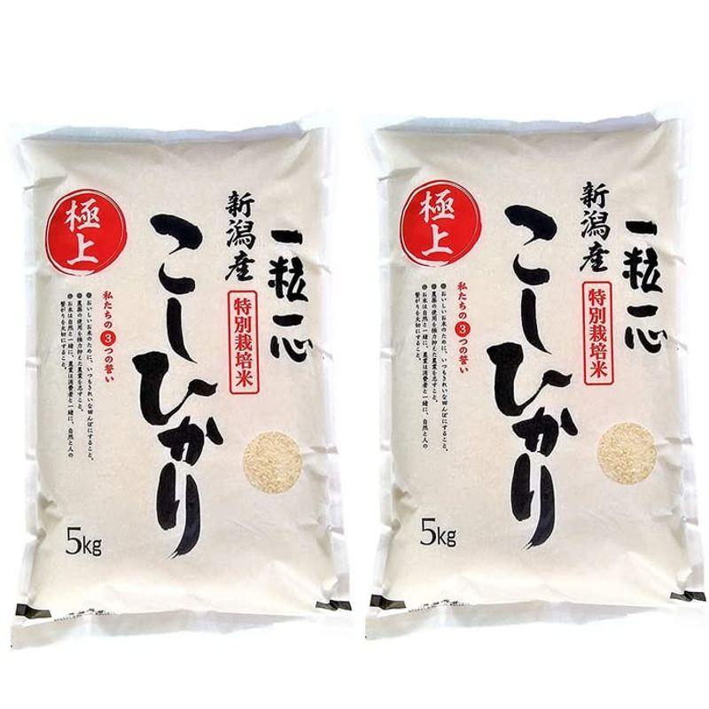 特別栽培米新潟産 こしひかり 白米 10kg（5kg×2袋）生産農家直送