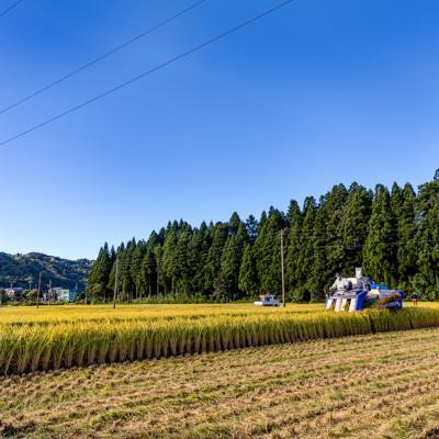 ふるさと納税 十日町市 魚沼産コシヒカリ 雪しずく 精米10kg×2袋