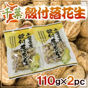 千葉産 ”殻付落花生” 110g×2袋 国産 ピーナッツ