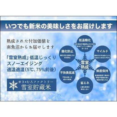 ふるさと納税 雪室貯蔵・塩沢産 従来コシヒカリ　 新潟県南魚沼市