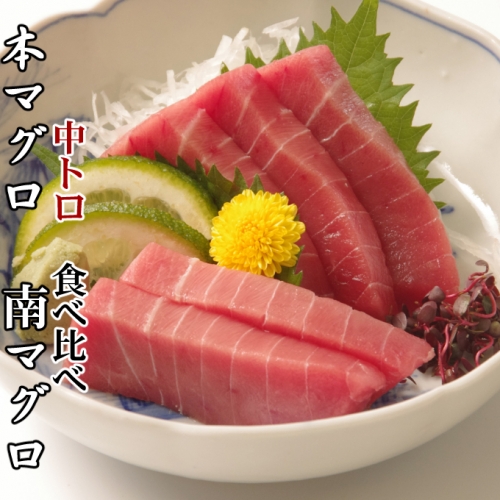 天然本マグロ　天然南マグロ　中トロ各１柵　（計４００ｇ）　食べ比べ