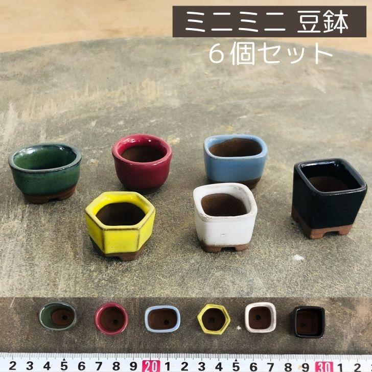 在庫あり/即出荷可】 盆栽鉢 陶芸品 骨董品 豆盆栽 鉢 ミニ盆栽 工芸品 