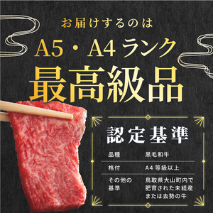 HA-06　大山黒牛赤身焼肉　600g