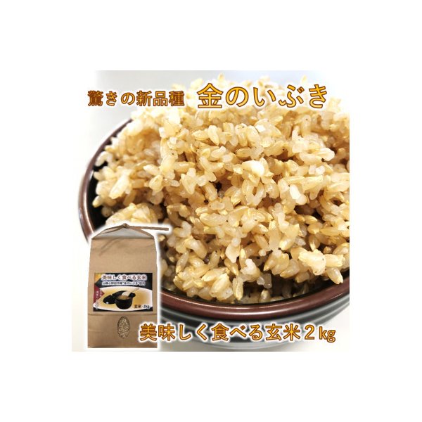 ふるさと納税 山陽小野田市 山陽小野田市産　美味しく食べる玄米2kg