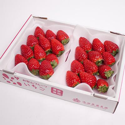 ふるさと納税 九度山町 朝摘み完熟まりひめ約600g(300g前後×2P)